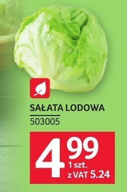 Sałata lodowa promocja w Selgros