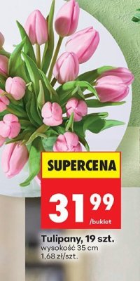 Tulipany, 19 szt. wysokość 35 cm promocja w Biedronka