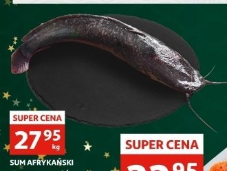 Sum afryka艅ski ca艂y promocja