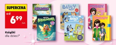 Książki dla dzieci promocja w Biedronka