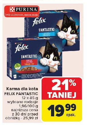 Karma dla kota rybne smaki Purina felix fantastic duo promocja w Carrefour Market