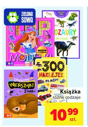 Książka top modelki Zielona sowa promocja w Biedronka