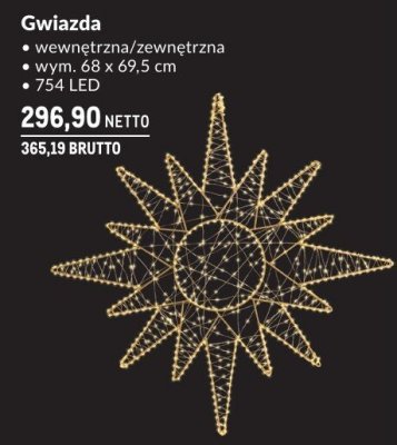 Dekoracja świąteczna Gwiazda wewnętrzna/zewnętrzna promocja w Makro