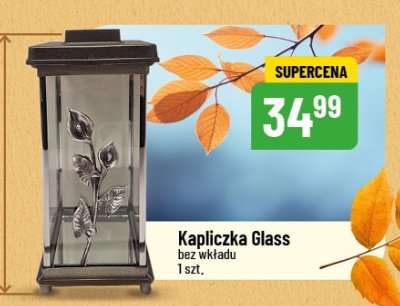 Znicz promocja w POLOmarket