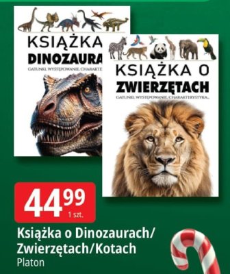 Oferta E.Leclerc I Mikołajkowy wybór w dobrej cenie, strona 23 promocja w Leclerc