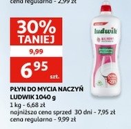 P艂yn do mycia naczy艅 malinowy Ludwik promocja