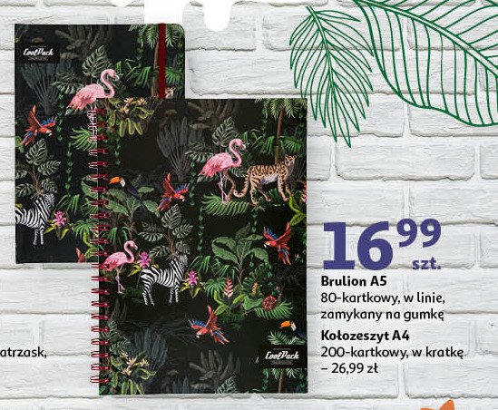 Kołozeszyt malindi a4/200 Coolpack promocja