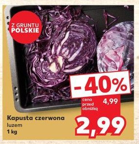 Kapusta czerwona promocja