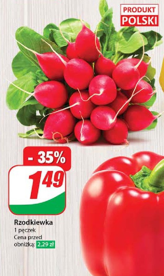Rzodkiew polska promocja