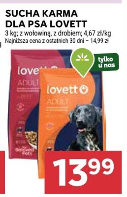 Sucha karma dla psa Lovett promocja w Stokrotka