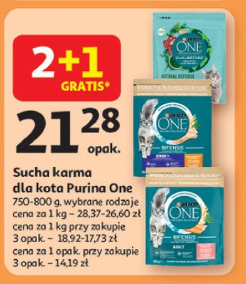 Karma dla kota sterilcat Purina promocja