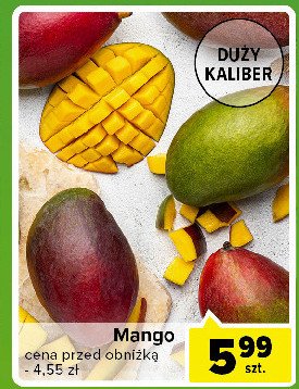 Mango duży kaliber promocja