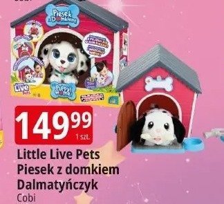 Little Live Pets Piesek z domkiem Dalmatyńczyk promocja w Leclerc