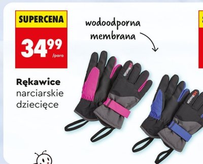 Rękawice narciarskie dziecięce promocja w Biedronka