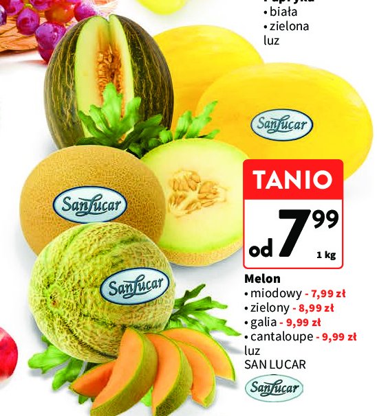 Melon cantaloupe Sanlucar promocja