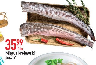 Mi臋tus kr贸lewski tusza promocja