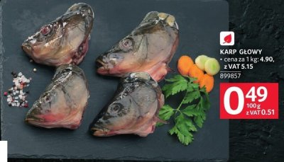 Karp głowy promocja w Selgros