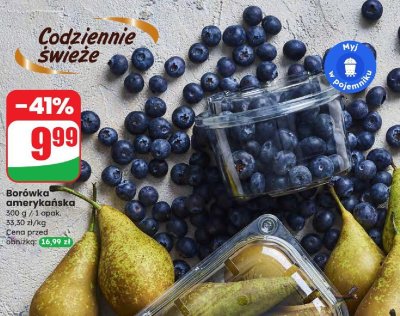 Borówka amerykańska promocja w Dino