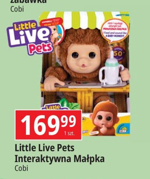 Małpka interaktywna little live pets Cobi promocja