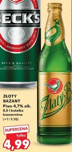 Piwo Zlaty bazant original promocja