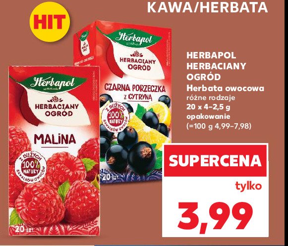 Herbata czarna porzeczka z cytryną Herbapol herbaciany ogród promocja w Kaufland