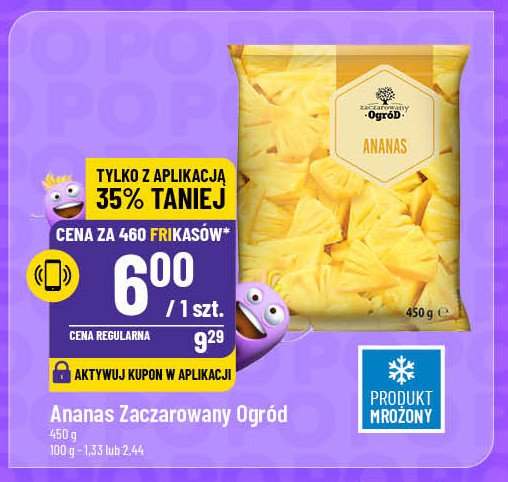 Ananas Zaczarowany ogród promocja