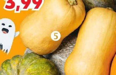 Dynia promocja w Kaufland