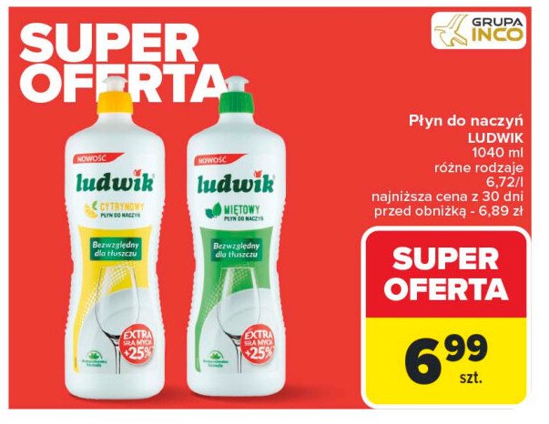 P艂yn do naczy艅 mi臋towy Ludwik promocja