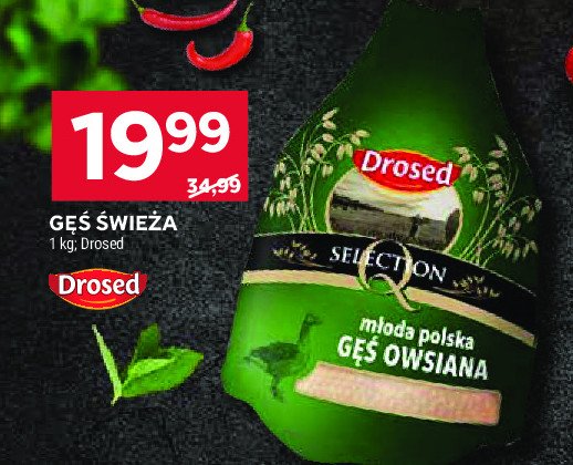 Gęś owsiana Drosed promocja