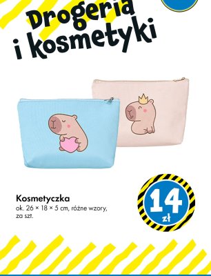 Kosmetyczka ok. 26 × 18 × 5 cm, różne wzory promocja w Tedi