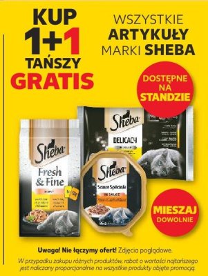 Karma dla kotów wszystkie rodzaje promocja w Kaufland