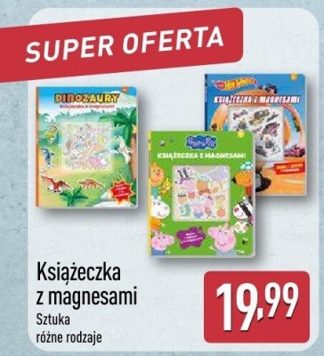 Książeczka z magnesami różne rodzaje promocja w Aldi