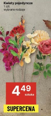 Kwiaty pojedyncze wybrane rodzaje promocja w Delikatesy Centrum