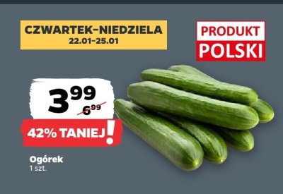 Ogórek luz promocja w Netto