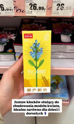 Zestaw klocków Florist  promocja w Intermarche