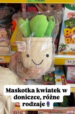 Maskotka promocja w Dino