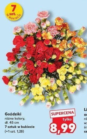 Gożdziki promocja
