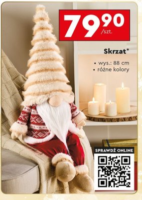 Skrzat wys. 88 cm promocja w Biedronka