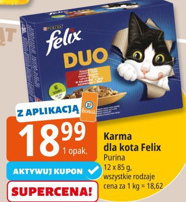 Karma dla kota Felix DUO Purina promocja w Leclerc
