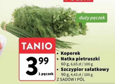 Natka pietruszki Z sadów i pól promocja w Intermarche
