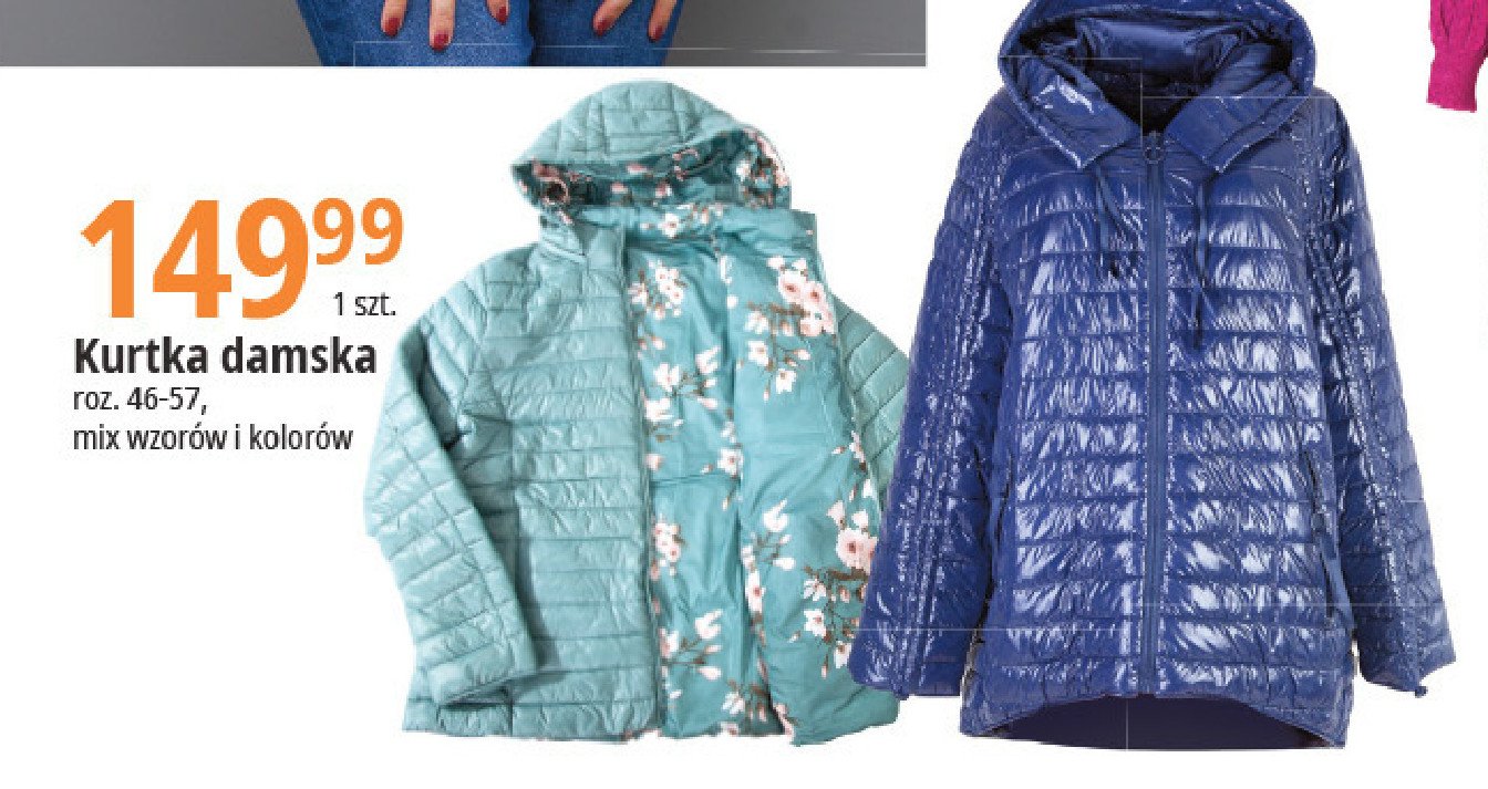 Kurtka damska rozm. 46-57 promocja