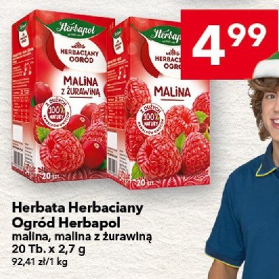 Herbata Herbaciany Ogród Herbapol malina 20 Tb. x 2,7 g promocja w LEWIATAN