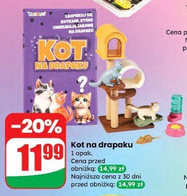 Kot na drapaku promocja w Dino