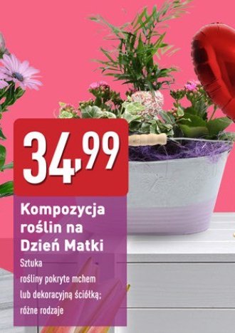 Kompozycja na dzie艅 mamy promocja