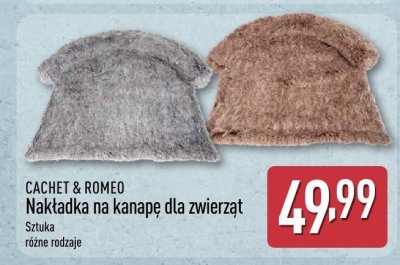 Nakładka na kanapę dla zwierząt, różne rodzaje promocja w Aldi