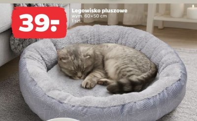Legowisko pluszowe wym. 60×50 cm promocja w Netto