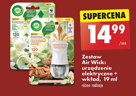 Wkład drzewo sandałowe i zmysłowa wanilia Air wick electric essential oils promocja