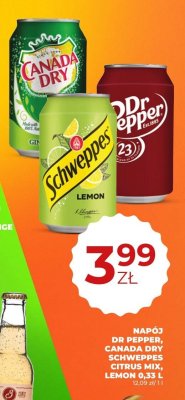 Napój Canada Dry 0,33 L promocja w Duży Ben