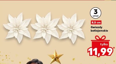 Gwiazdy betlejemskie 8,5 cm 3 sztuki promocja w Kaufland