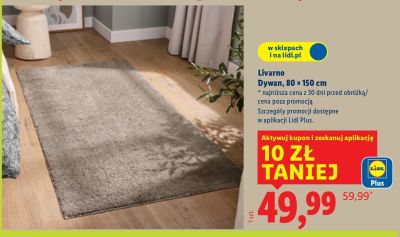 Dywan Livarno 80 × 150 cm promocja w Lidl